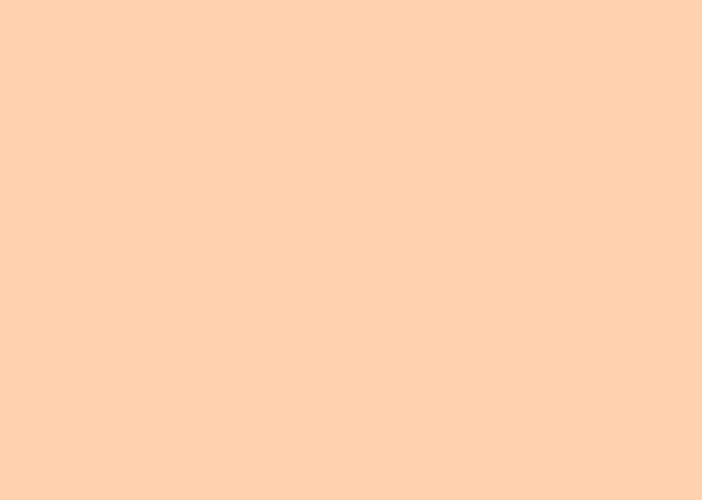 PAPEL-CON-TACT-45X2-SALMAO--FL-