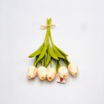 BQ-TULIPA-30CM-X5-RS-43111009