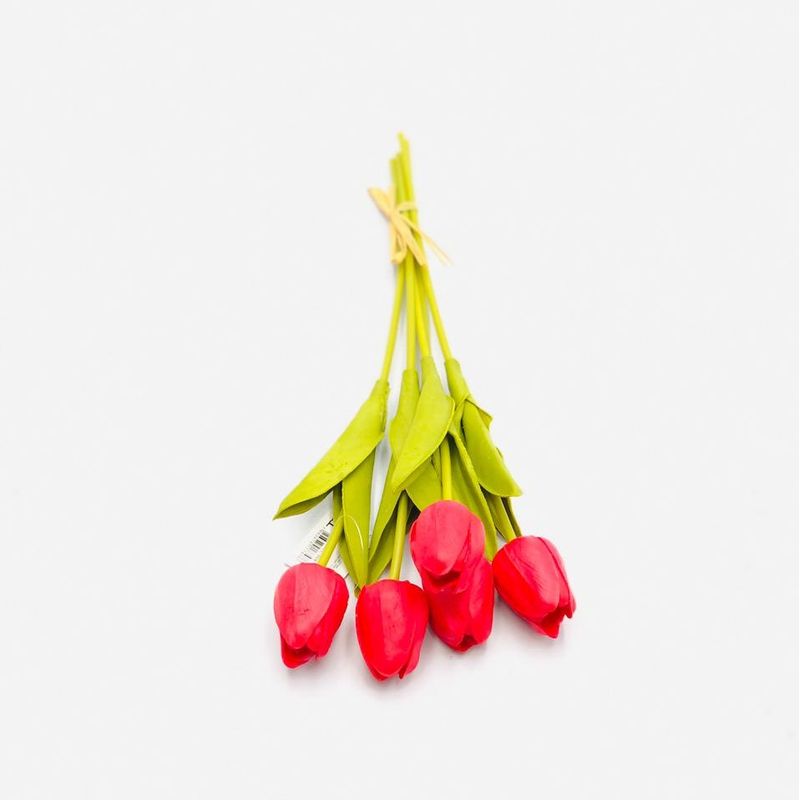 BQ-TULIPA-30CM-X5-VM-43111008