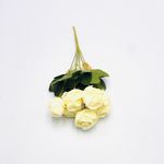 BQ-ROSA-33CM-X7-CRM-39228001