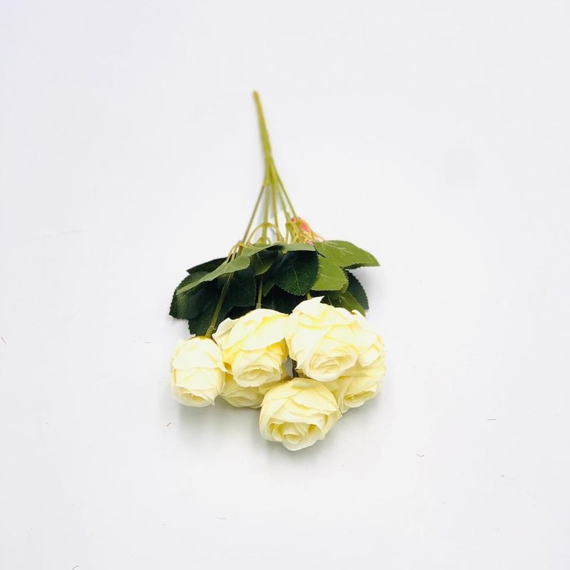 BQ-ROSA-33CM-X7-CRM-39228001