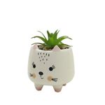 VASO-CERAMICA-FWB-96887