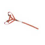PET-CORRENTE-P-CAES-INGA-13130-0