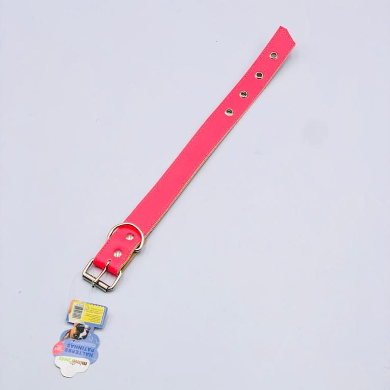 PET-COLEIRA-P-CAES-INGA-G-13499-0