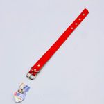 PET-COLEIRA-P-CAES-INGA-G-13499-0