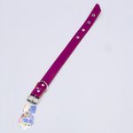 PET-COLEIRA-P-CAES-INGA-G-13499-0