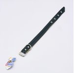 PET-COLEIRA-P-CAES-INGA-G-13499-0