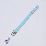 PET-COLEIRA-P-CAES-INGA-G-13499-0