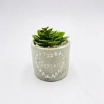 VASO-CIMENTO-BONSAI-FWB-96121