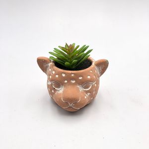 Vaso Cimento Bonsai Fwb 96125