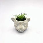 VASO-CIMENTO-BONSAI-FWB-96125