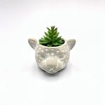 VASO-CIMENTO-BONSAI-FWB-96125