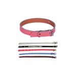 PET-COLEIRA-P-CAES-INGA-2P-13498-0