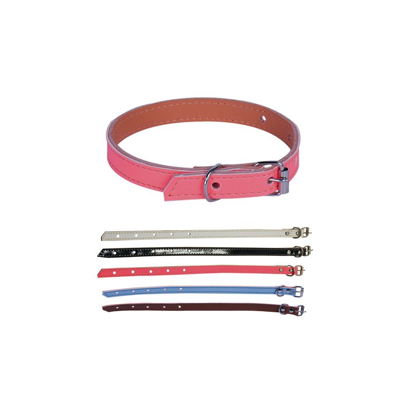 PET-COLEIRA-P-CAES-INGA-2P-13498-0
