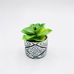 VASO-CIMENTO-BONSAI-FWB-96849
