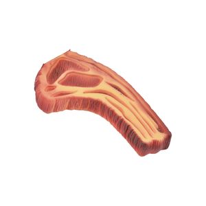 Pet Bisteca Inga 13081-0
