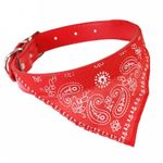 PET-COLEIRA-C-BANDANA-INGA-28CM-13490-0
