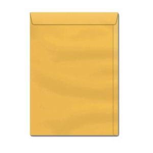 Env For Saco Ouro 24x34 340 159