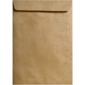 Env For Saco Kraft 22x32 100p 9754