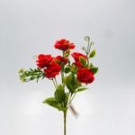 BQ-ROSA-30CM-X7-VM-41715002