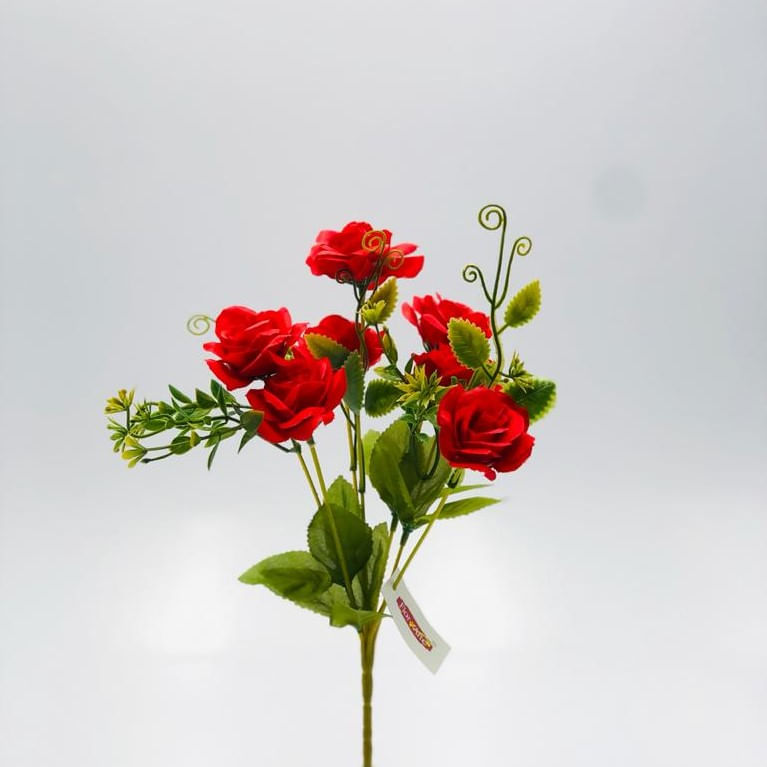 BQ-ROSA-30CM-X7-VM-41715002