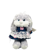 PELUCIA-S2-2017100126