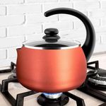 CHALEIRA-BRIN-CLOVE-2L-7111-496