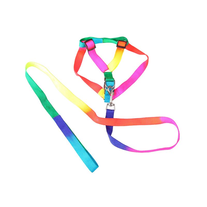 PET-GUIA-C-PEITORAL-ARCO-IRIS-15CM-13481-0