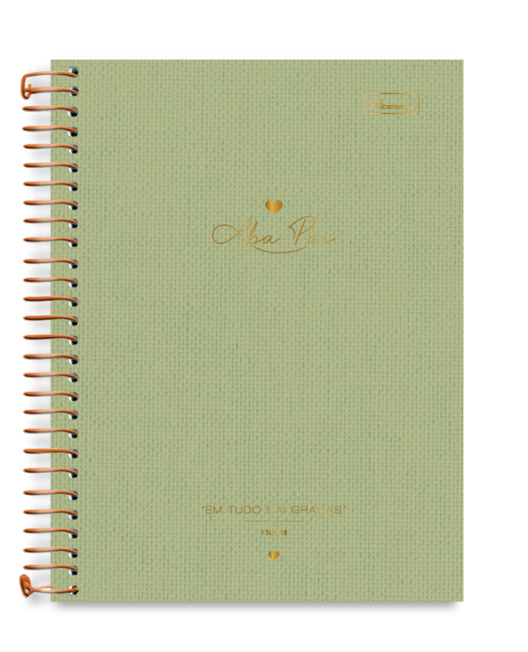 CADERNO-CD-ABA-PAI-10X1-160F-0119004
