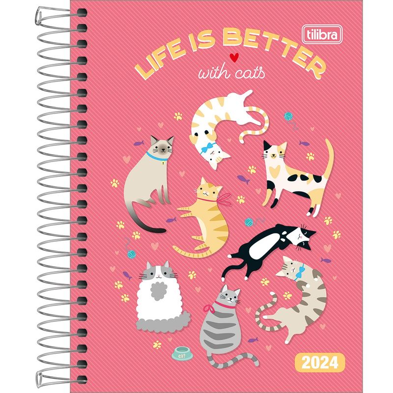 AGENDA-TILIB-ESP-D--M4-FEM-144843