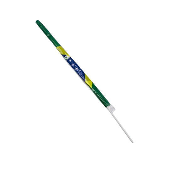 BANDEIRA-BRASIL-C-HASTE-FBA0209
