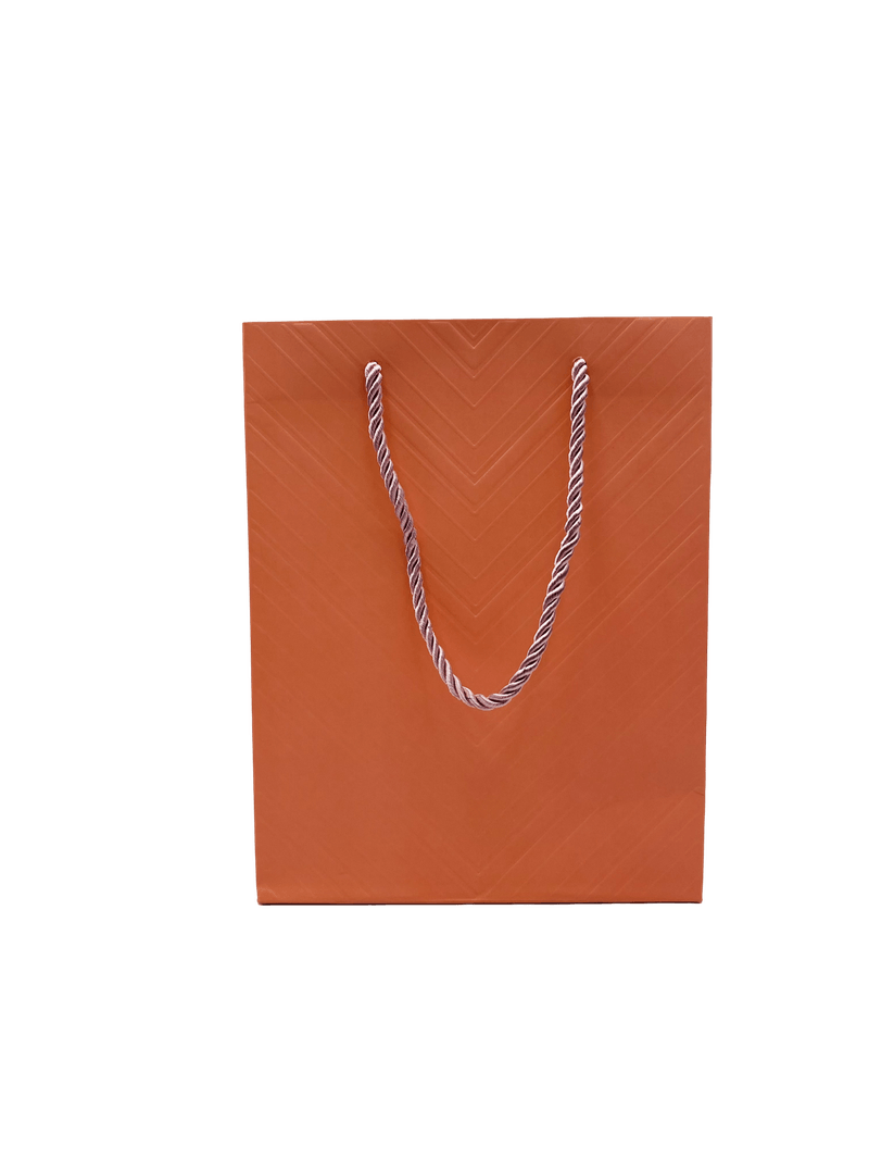 SACOLA-P-PRESENTE-SAC0046