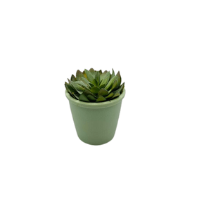 Vaso C/Flor Usp14