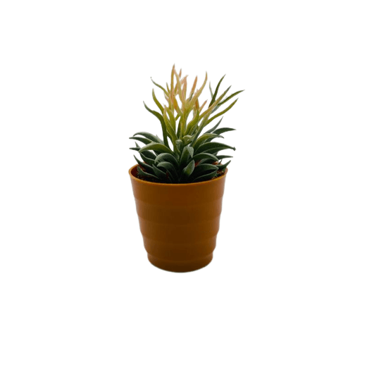 VASO-C-FLOR-VSP12