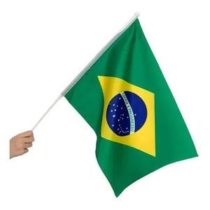 Bandeira do Brasil com Haste