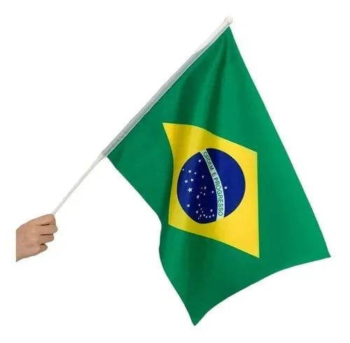 BANDEIRA-BRASIL-HAST-TOK-14X21-1251