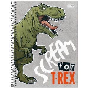 Caderno Cd Raptor 1x1 80f 309648