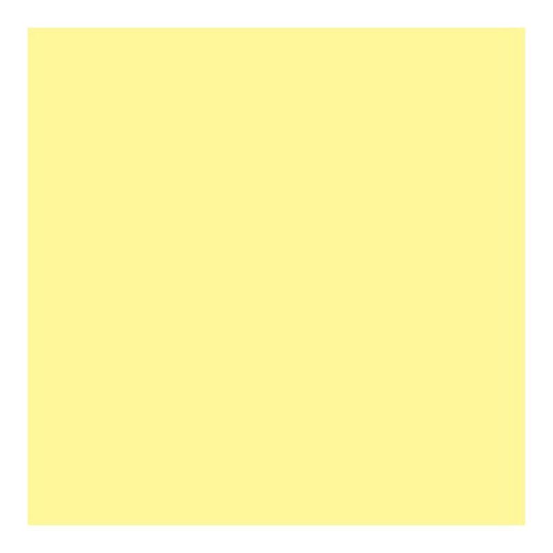 EVA-COR-ROLO-39X47--100--AM-BB