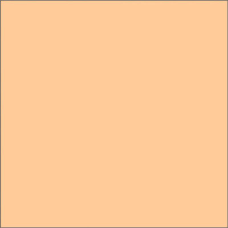 EVA-COR-ROLO-39X47--100--PELE