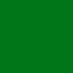 EVA-COR-ROLO-39X47--100--VD-GRAMA