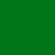 EVA-COR-ROLO-39X47--100--VD-GRAMA