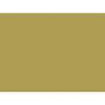 EVA-COR-ROLO-39X47--100--AM-OURO