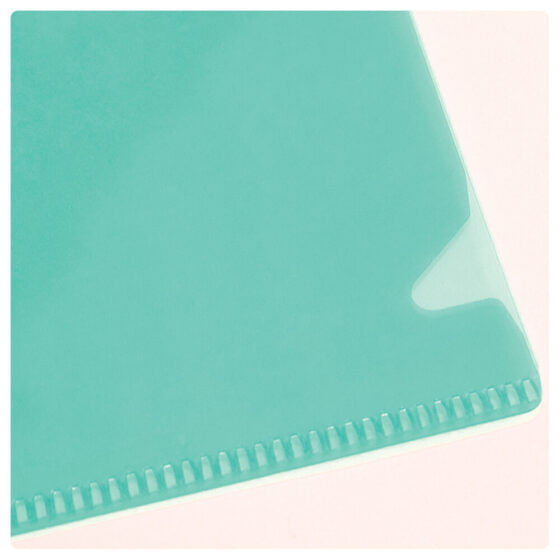 PASTA-L-TRANS-22-X305MM-10P-42PP-VD--100-
