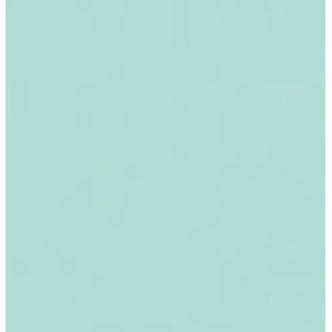 Eva Cor Rolo 39x47 (100) Az Ciano
