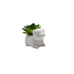 VASO-CERAMICA-FWB-96850