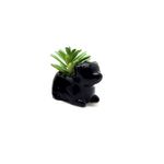 VASO-CERAMICA-FWB-96850
