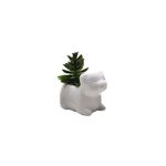 VASO-CERAMICA-FWB-96850