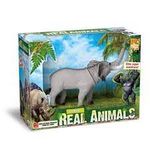 ELEFANTE-0505