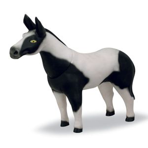 Burrinho 0529