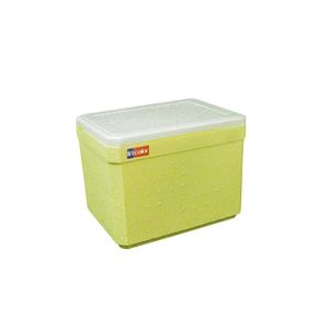 Caixa Gelad Fricalor C/Alca 8l 2008 (10)